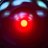 robotnyc1