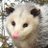 AryaTheOpossum