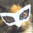 565_kitty