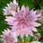 gardensinfo