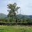 Sandra_1587