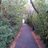 p_sandur