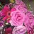 poppylover79