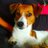 charly63712508