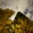 tano_guadarrama