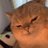 Catdaver_