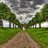 Harry_Bhat85