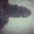 Bertin06810329