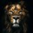 ADV_ANKUR_