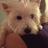 Mummy_Parsons