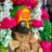ameet_varma