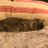 RKTCATS