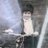 Michael56370476