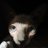 JohanSphynx