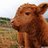 MoocowBrandon