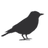 legendblackbird