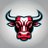 TheBullCharge