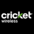 Bandera_Cricket