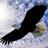 a_twit028
