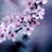 aadi_sparkles