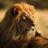J_Lionbar
