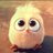 Jain_Divyesh8