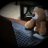 CodingBear