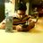 Amit12578
