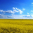 Ukrainolution