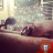 brian_p16