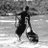 Seth_seagullm