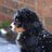 Pitsnow
