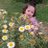 jaideep_urs