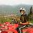 mdhillon21