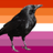 lesbiancorvid