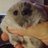 BuritoYouH_Ate