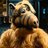 Alf78111137