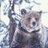 ECgrizzly