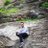 gaurav7807
