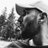 BetterCallJohn_
