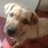 chandan_hm2