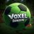 VoxelLeague