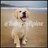 Bony_alpine