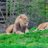 shubham02057042