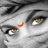 ankitpachauri89