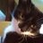 MollieMthecat