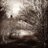 Spirit_210