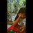 isha_pillai