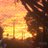 moisesc_68
