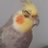 _username_q